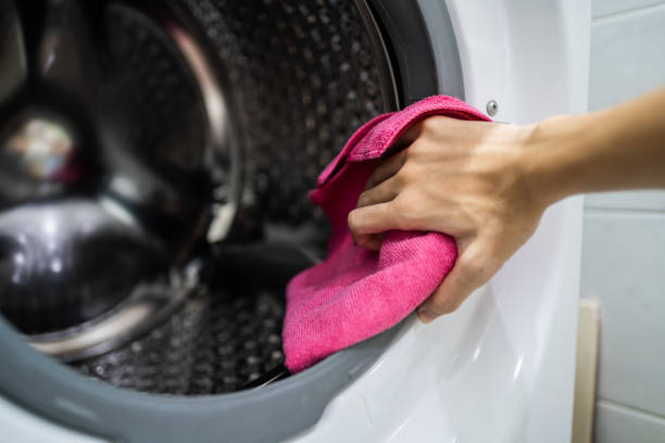 Reliable Five Corners, WA Mold Removal Solutions