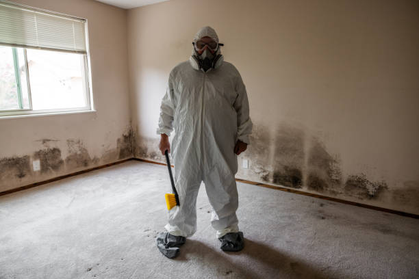 Best Industrial Mold Remediation  in Five Corners, WA