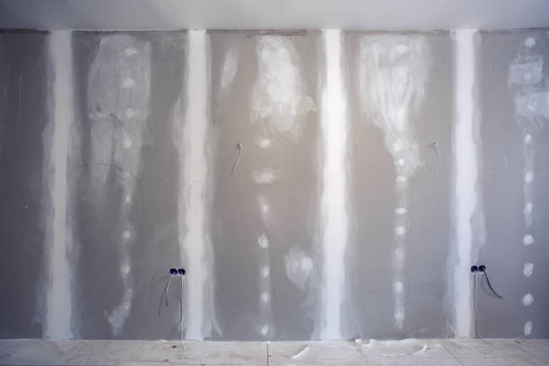 Biohazard Mold Removal in Five Corners, WA